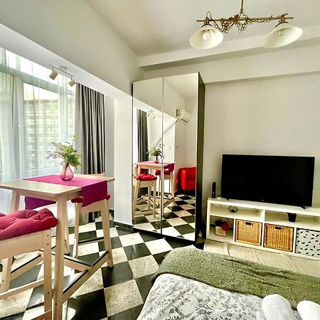 Victoriei Spacious Studio ブカレスト エクステリア 写真