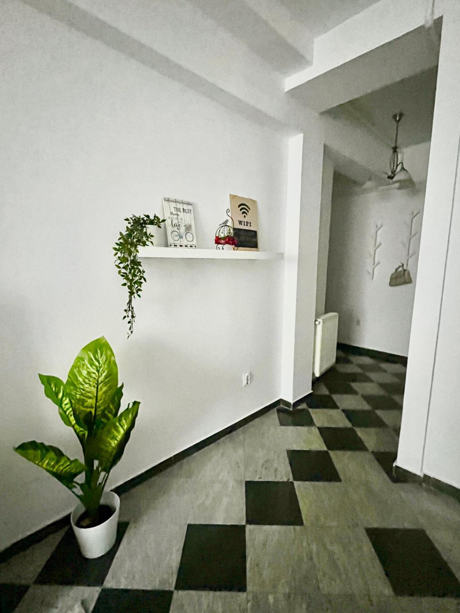 Victoriei Spacious Studio ブカレスト エクステリア 写真