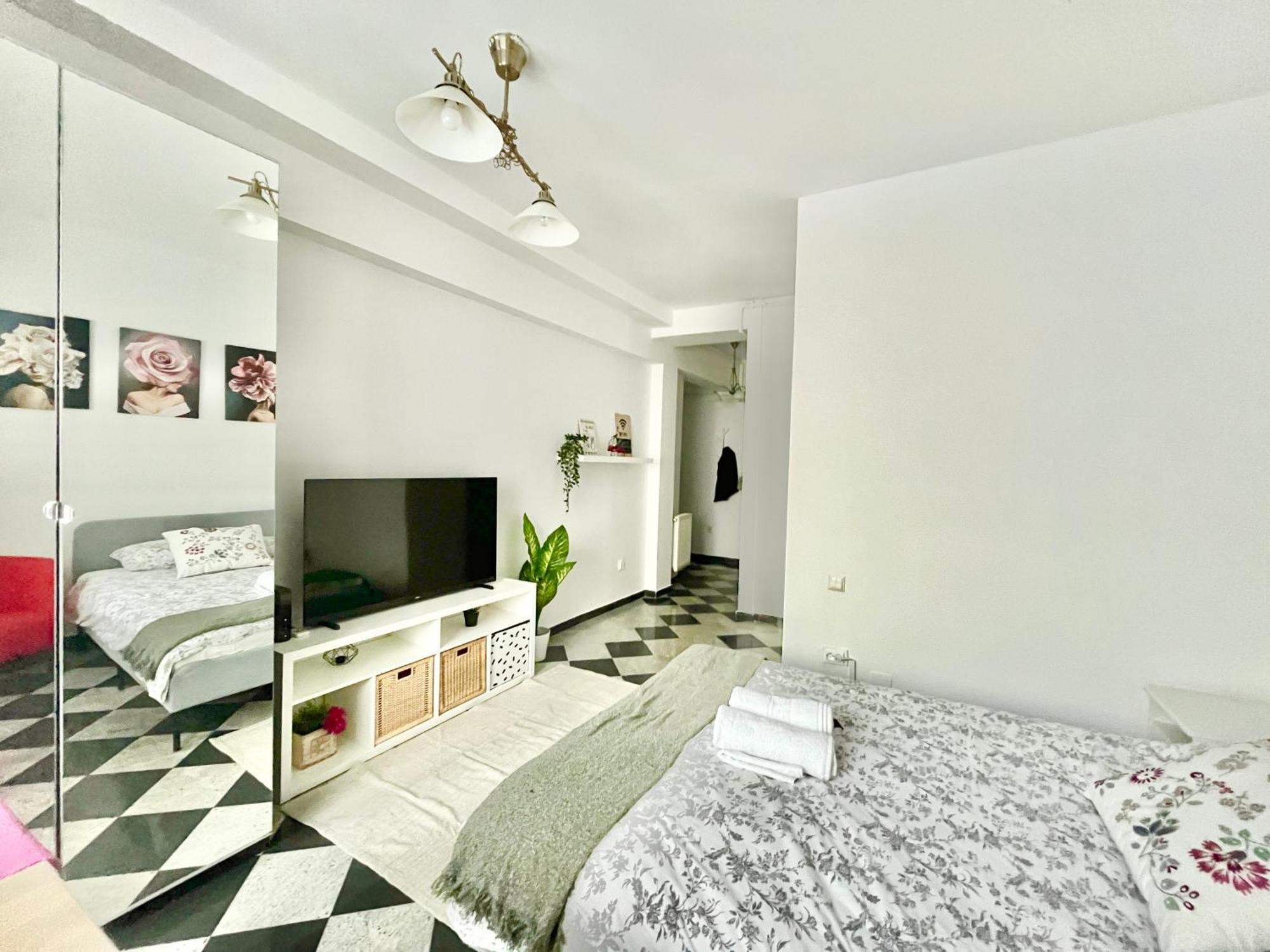 Victoriei Spacious Studio ブカレスト エクステリア 写真