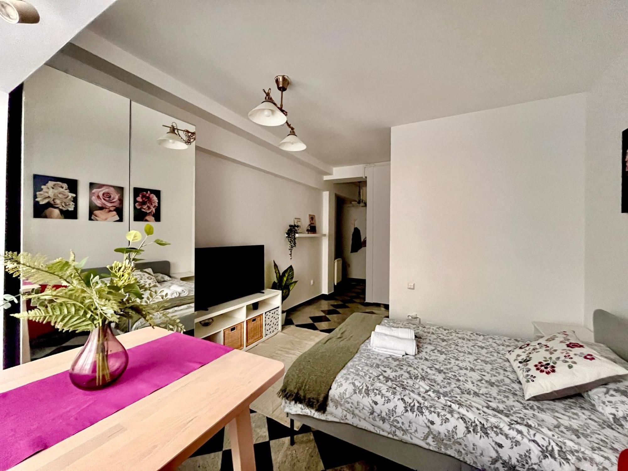 Victoriei Spacious Studio ブカレスト エクステリア 写真